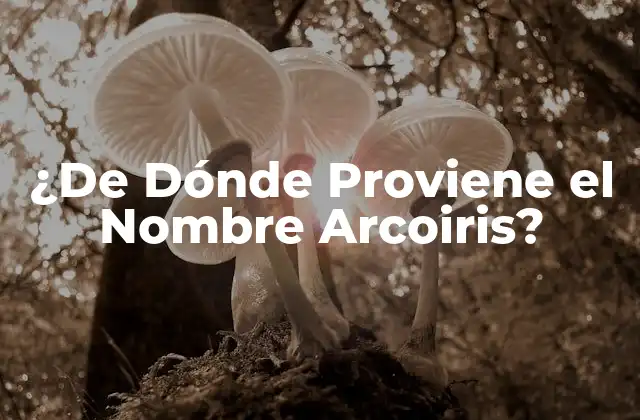 ¿de Dónde Proviene el Nombre Arcoiris?