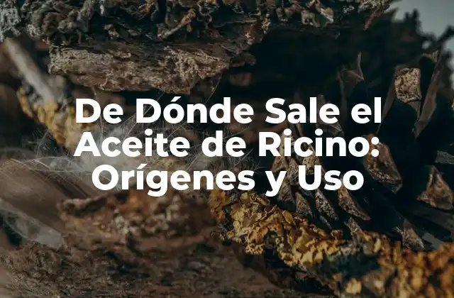 De Dónde Sale el Aceite de Ricino: Orígenes y Uso