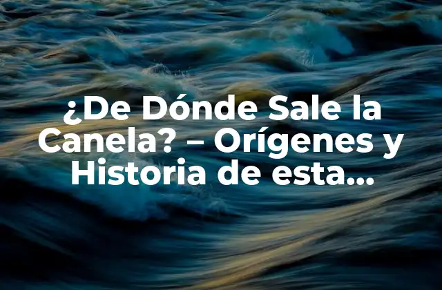 ¿de Dónde Sale la Canela? – Orígenes y Historia de Esta Especie Aromática