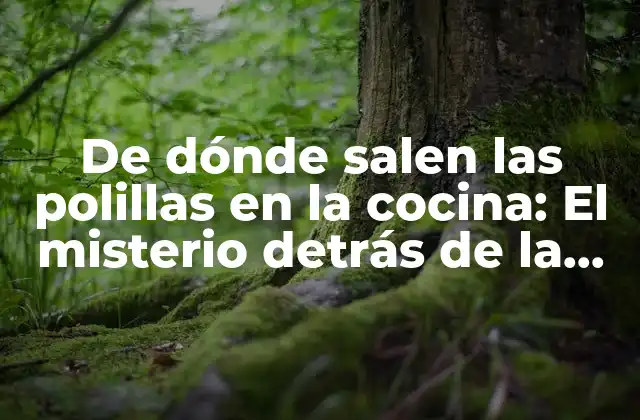 De Dónde Salen las Polillas en la Cocina: el Misterio Detrás de la Infestación