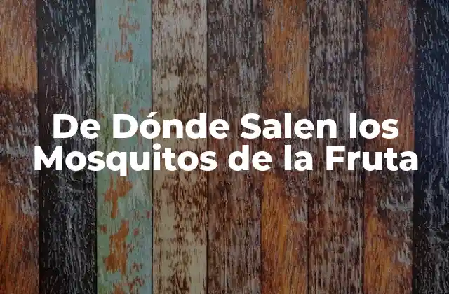 De Dónde Salen los Mosquitos de la Fruta