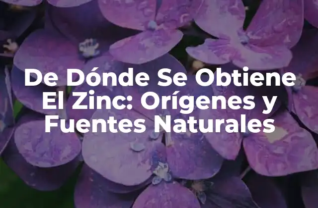 De Dónde Se Obtiene el Zinc: Orígenes y Fuentes Naturales