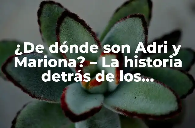 ¿de Dónde Son Adri y Mariona? – la Historia Detrás de los Influencers Catalanes