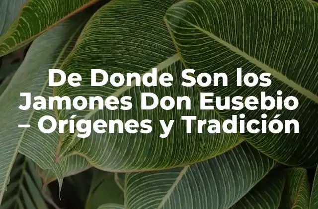 De Donde Son los Jamones Don Eusebio – Orígenes y Tradición