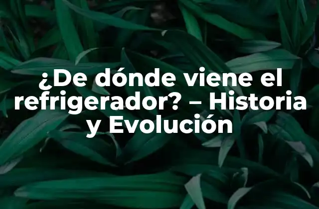 ¿de Dónde Viene el Refrigerador? – Historia y Evolución