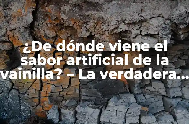 ¿de Dónde Viene el Sabor Artificial de la Vainilla? – la Verdadera Historia Detrás Del Aroma Más Popular