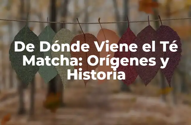 De Dónde Viene el Té Matcha: Orígenes y Historia