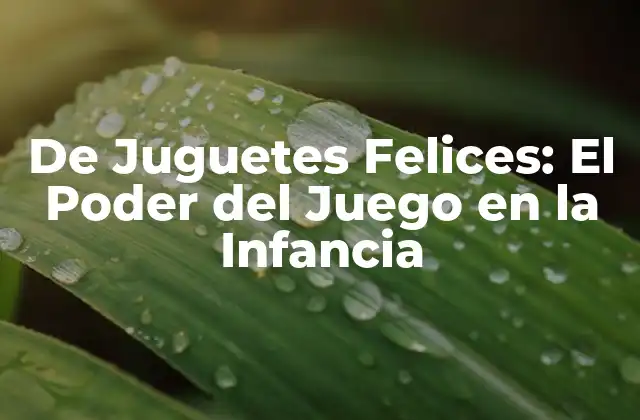 ¿Qué Son los Juguetes Felices?