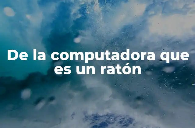 De la Computadora que es un Ratón