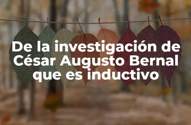 De la Investigación de César Augusto Bernal que es Inductivo