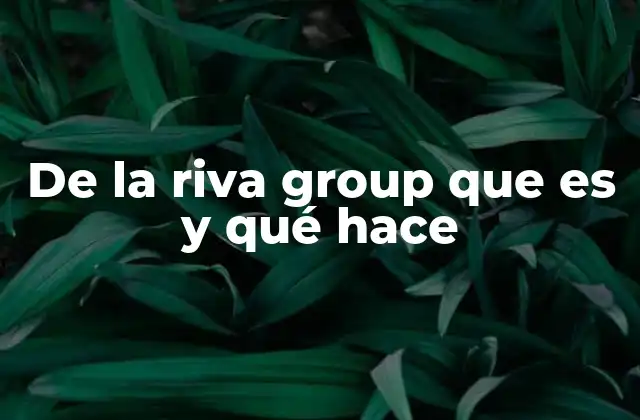 De la Riva Group que es y Qué Hace