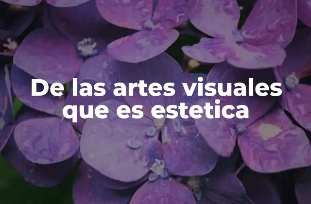 De las Artes Visuales que es Estetica