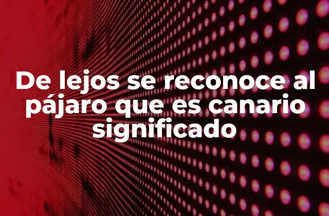 De Lejos Se Reconoce Al Pájaro que es Canario Significado