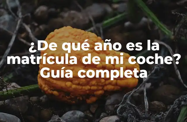 ¿de Qué Año es la Matrícula de Mi Coche? Guía Completa