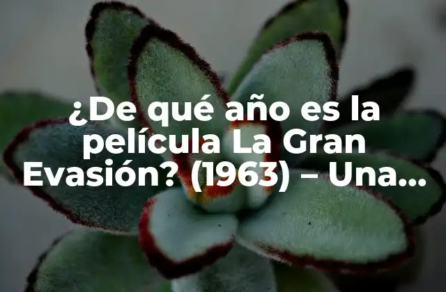 ¿de Qué Año es la Película la Gran Evasión? (1963) – una Película Clásica de Guerra