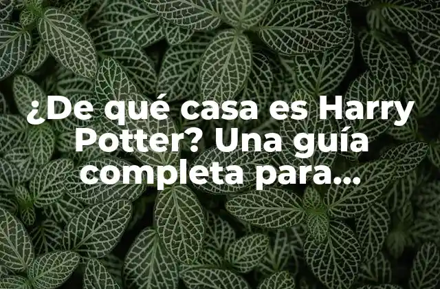 ¿de Qué Casa es Harry Potter? una Guía Completa para Entender la Magia de Hogwarts