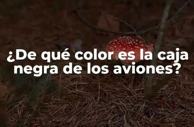 ¿de Qué Color es la Caja Negra de los Aviones? 2 ¿Por qué se llama caja negra?