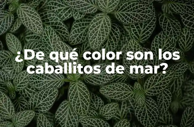 ¿de Qué Color Son los Caballitos de Mar?