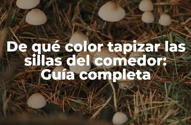 De Qué Color Tapizar las Sillas Del Comedor: Guía Completa