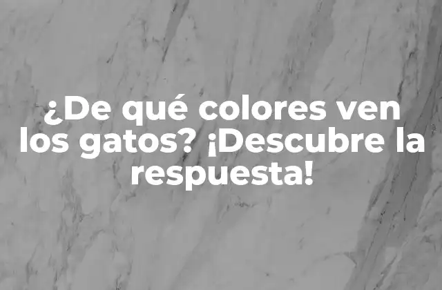 ¿de Qué Colores Ven los Gatos? ¡descubre la Respuesta!
