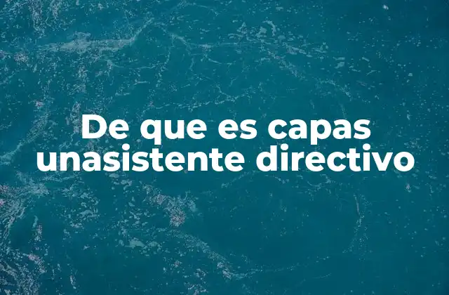 De que es Capas Unasistente Directivo 2 El apoyo detrás del liderazgo empresarial