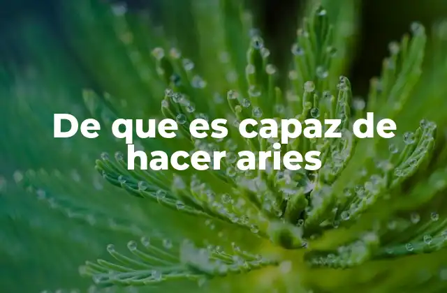 De que es Capaz de Hacer Aries