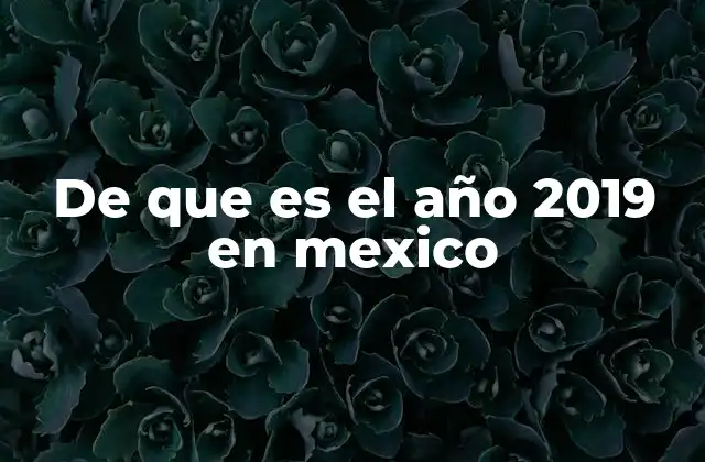 De que es el Año 2019 en Mexico