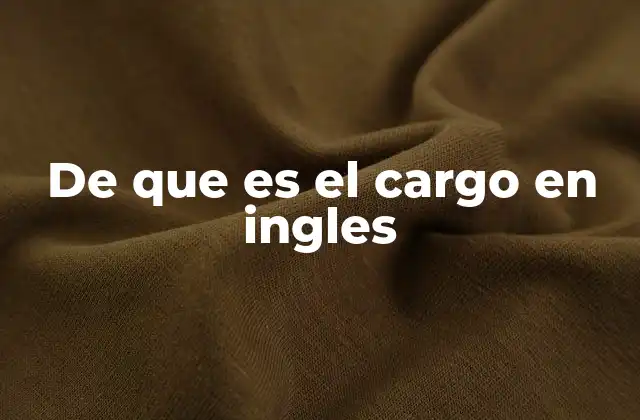 De que es el Cargo en Ingles