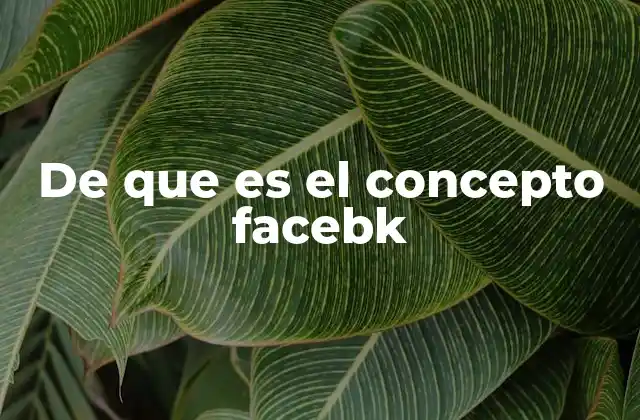 De que es el Concepto Facebk