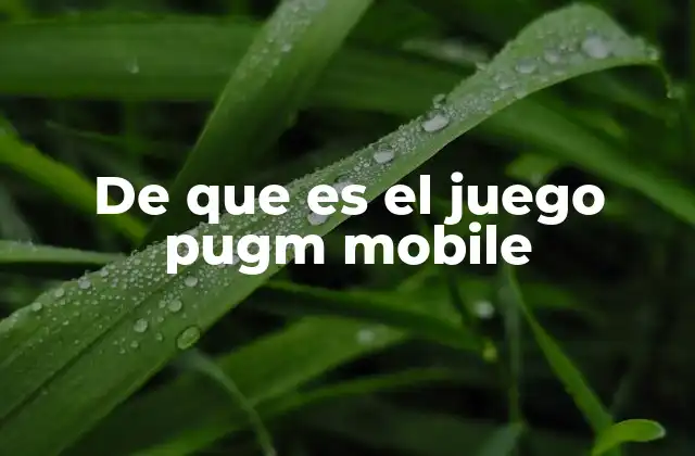 De que es el Juego Pugm Mobile