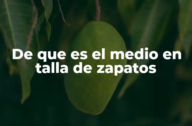 De que es el Medio en Talla de Zapatos
