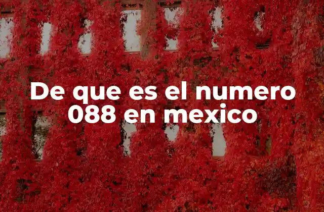 De que es el Numero 088 en Mexico