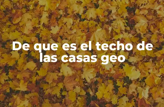 De que es el Techo de las Casas Geo