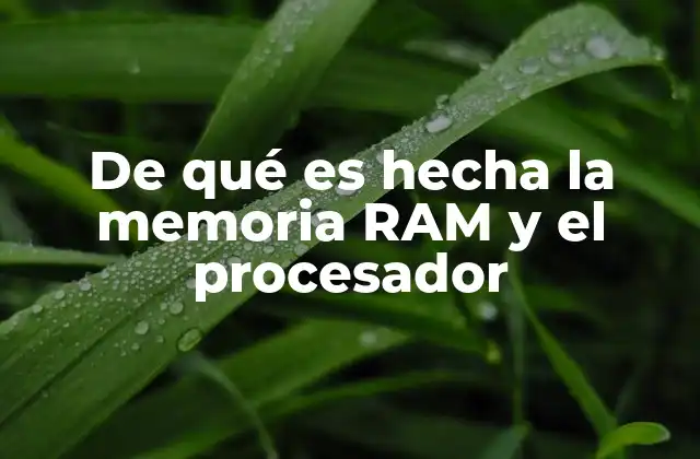 De Qué es Hecha la Memoria Ram y el Procesador