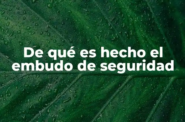 De Qué es Hecho el Embudo de Seguridad