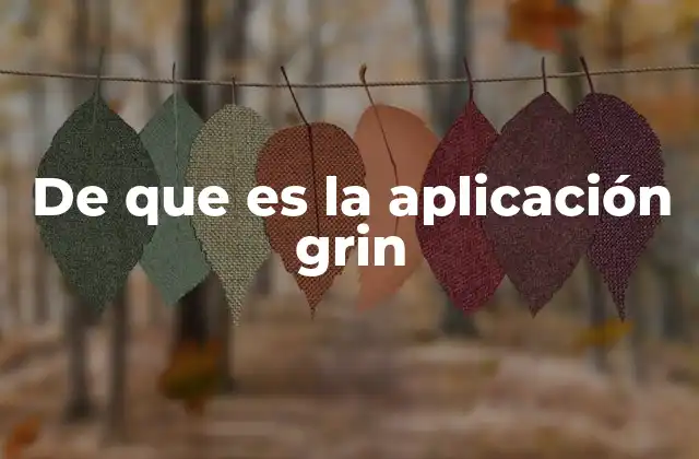 De que es la Aplicación Grin