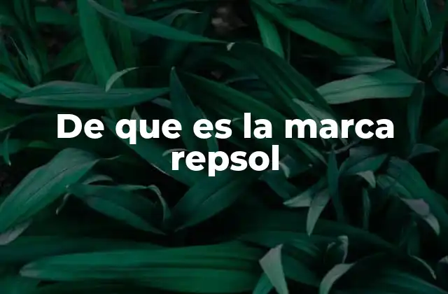 De que es la Marca Repsol 2 El papel de Repsol en el contexto energético mundial