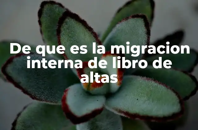 De que es la Migracion Interna de Libro de Altas 2 La importancia del seguimiento de movimientos internos en registros oficiales
