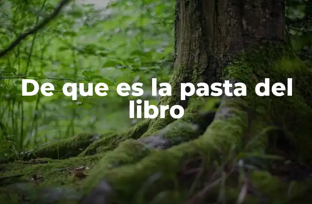 De que es la Pasta Del Libro