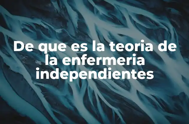 De que es la Teoria de la Enfermeria Independientes