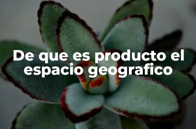 De que es Producto el Espacio Geografico