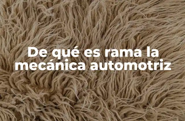 De Qué es Rama la Mecánica Automotriz