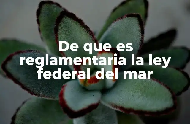 De que es Reglamentaria la Ley Federal Del Mar
