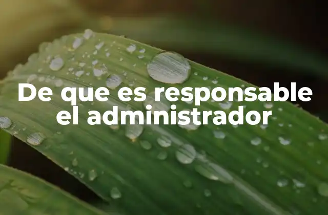 De que es Responsable el Administrador
