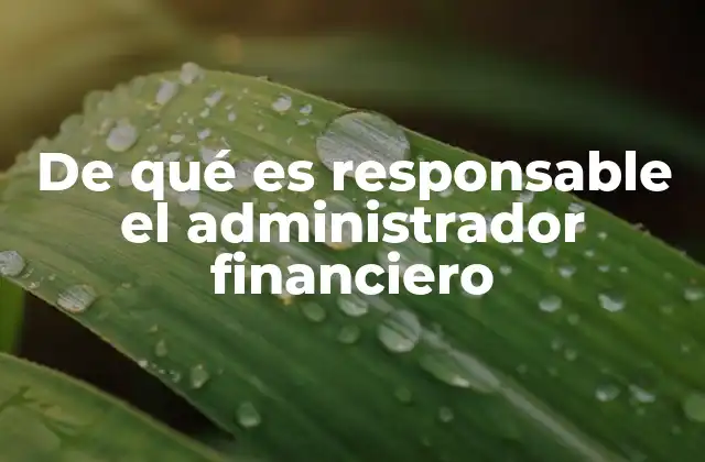 De Qué es Responsable el Administrador Financiero