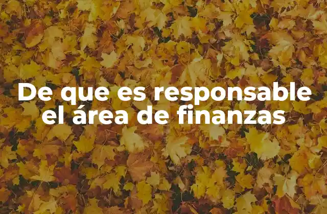 De que es Responsable el Área de Finanzas