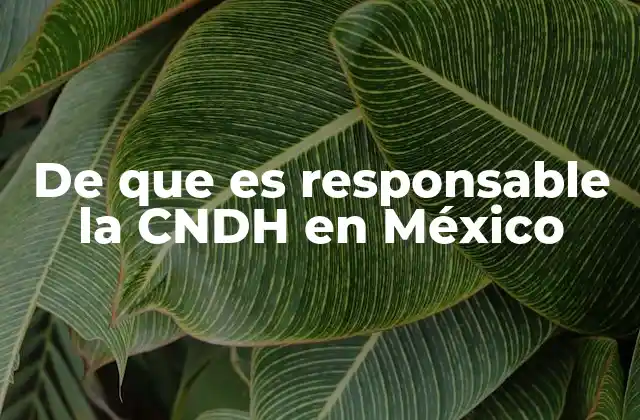 El rol de la CNDH en la defensa ciudadana y su impacto social