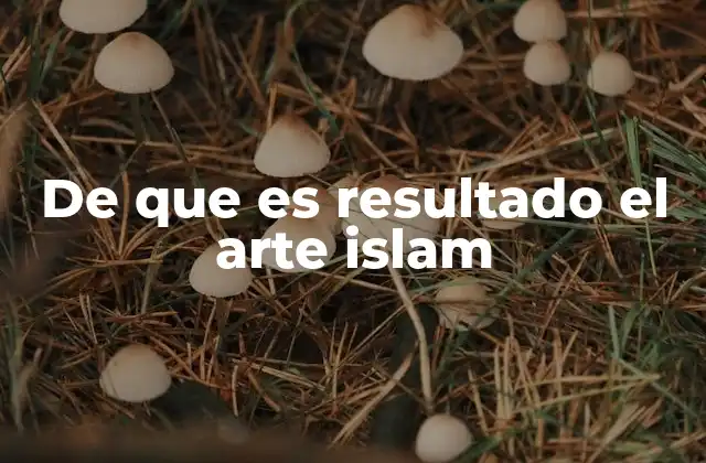 De que es Resultado el Arte Islam