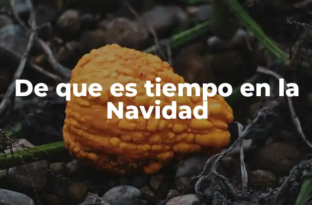 De que es Tiempo en la Navidad