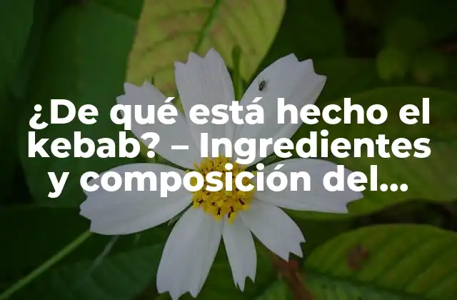 ¿de Qué Está Hecho el Kebab? – Ingredientes y Composición Del Kebab